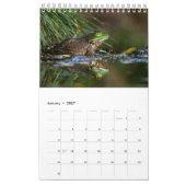 2025 Frog One Page Wall Calendar Kalender (Jan 2027)