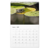 2025 Frog One Page Wall Calendar Kalender (Mär 2027)