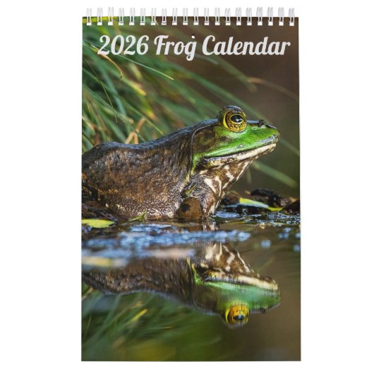 2025 Frog One Page Wall Calendar Kalender (Titelbild)