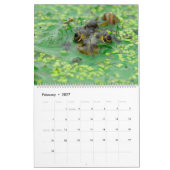 2025 Frösche im Naturwall-Kalender Kalender (Feb 2027)