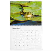 2025 Frösche im Naturwall-Kalender Kalender (Mär 2027)