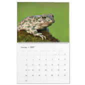 2025 Frösche im Naturwall-Kalender Kalender (Jan 2027)