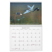 2025 Fundraising Australian wild life calendar Kalender (Mär 2027)