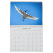 2025 Fundraising Australian wild life calendar Kalender (Jan 2027)