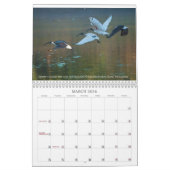 2025 Fundraising Australian wild life calendar Kalender (Mär 2026)