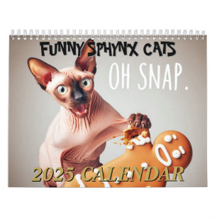 2025 Funny Sphynx Cats und Elf Sphynx Wall Kalender