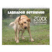 2025 Gelbe Labrador Labrador Retriever Wall Calend Kalender (Titelbild)