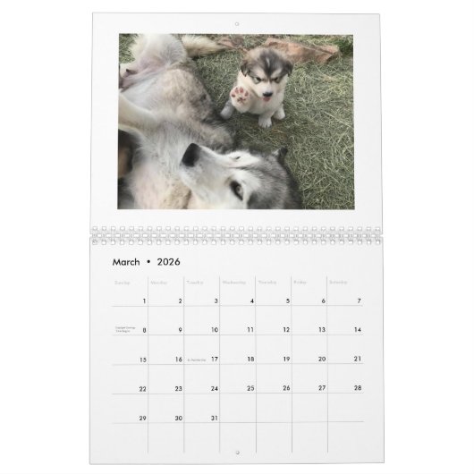 2025 Ghost Dance Alaskan Malamutes Kalender (Mär 2026)