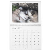 2025 Ghost Dance Alaskan Malamutes Kalender (Jan 2027)