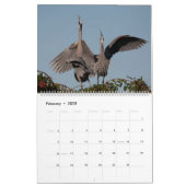 2025 Great Blue Heron Courting Displays Calendar Kalender (Feb 2025)