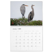 2025 Great Blue Heron Courting Displays Calendar Kalender (Jan 2025)