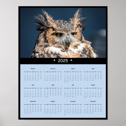 2025 Great Horned Owl Wall Calendar Poster (Vorne)