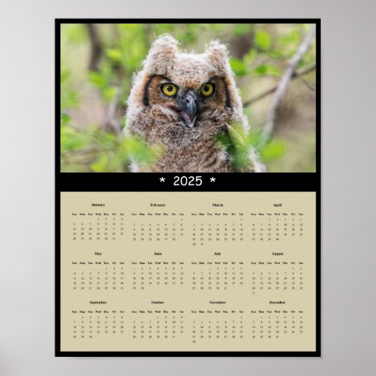 2025 Great Horned Owl Wall Calendar Poster (Vorne)