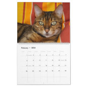 2025 Großartige Bengalische Katzen Kalender (Feb 2026)