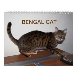 2025 Großartige Bengalische Katzen Kalender