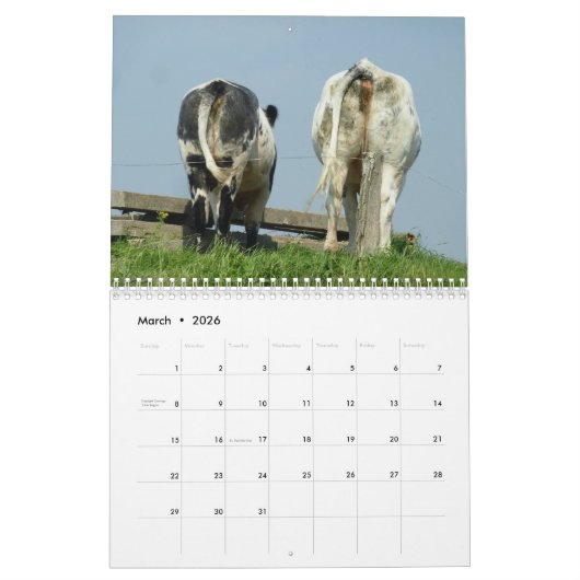 2025 Hintern Kalender (Mär 2026)