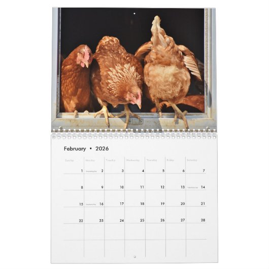 2025 Hintern Kalender (Feb 2026)