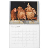 2025 Hintern Kalender (Feb 2027)