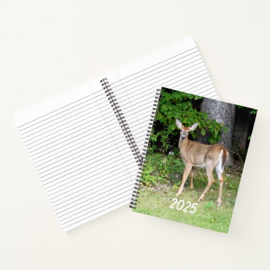 2025 Hirsch Notizblock (Innenseite)
