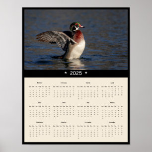 2025 Holzente Drake Wall Calendar Poster
