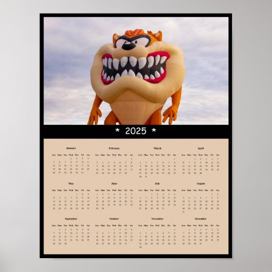2025 Hot Air Ballon Wall Calendar Poster (Vorne)