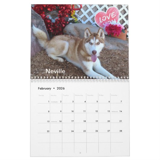 2025 Hunde des Tierschutzhauses Oklahoma City Kalender (Feb 2026)