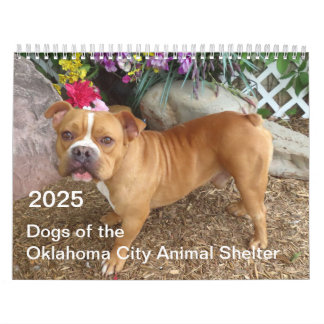 2025 Hunde des Tierschutzhauses Oklahoma City Kalender