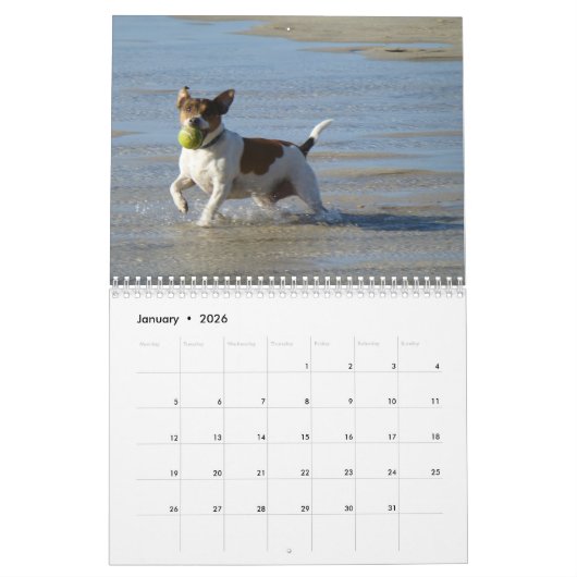 2025 Hunde, Hunde, Hunde Kalender (Jan 2026)