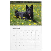 2025 Hundehundgestelle Kalender (Mär 2026)