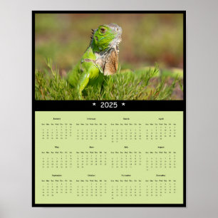 2025 Iguana Wall Calendar Poster