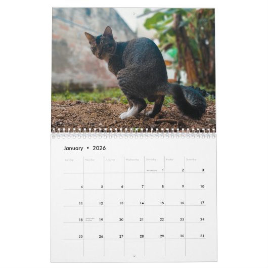 2025 Kackend Sonnenkatze Personalisiert Kalender (Jan 2026)