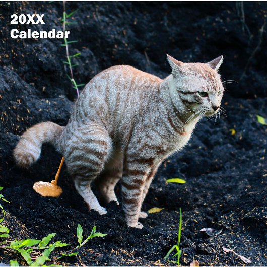 2025 Kackend Sonnenkatze Personalisiert Kalender