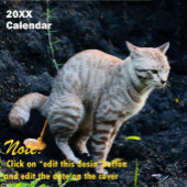2025 Kackend Sonnenkatze Personalisiert Kalender