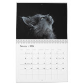 2025 KALENDER (Feb 2026)