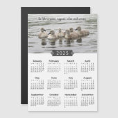 2025 Kalender Baby Swans Fotograf Magnet (Vorne/Hinten)