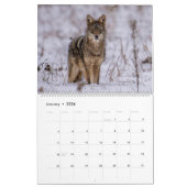2025 Kalender der wild lebenden Tiere und Pflanzen (Jan 2026)