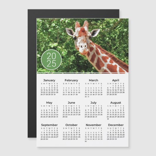 2025 Kalender Giraffe Fotograf Magnet (Vorne/Hinten)