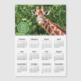 2025 Kalender Giraffe Fotograf Magnet
