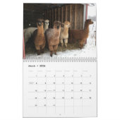 2025 Kalender - Hallo Bluebirds Farm Fotos (Mär 2026)