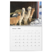 2025 Kalender - Hallo Bluebirds Farm Fotos (Jan 2026)