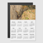 2025 Kalender Niedliches Eichhörnchen Foto Magnet (Vorne/Hinten)
