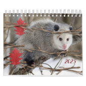 2025 Kalender Opossum Natur Wildtiere (Titelbild)