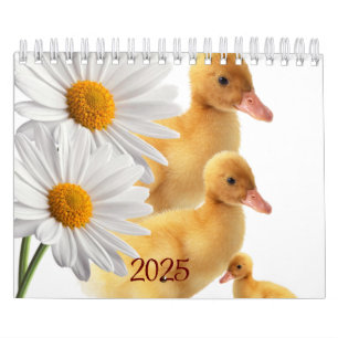 2025 Kalenderenten Enten Daisy Floral Kalender