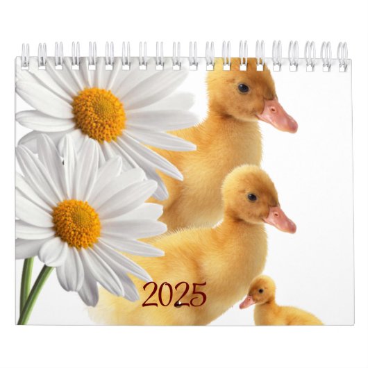 2025 Kalenderenten Enten Daisy Floral Kalender (Titelbild)