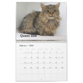 2025 Katzen des Tierschutzhelters in Oklahoma City Kalender (Feb 2026)