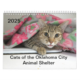 2025 Katzen des Tierschutzhelters in Oklahoma City Kalender
