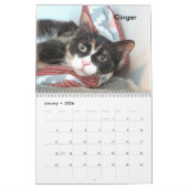2025 Katzen des Tierschutzhelters in Oklahoma City Kalender (Jan 2026)