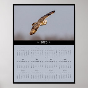 2025 Kurz-Eared Owl Wall Calendar Poster
