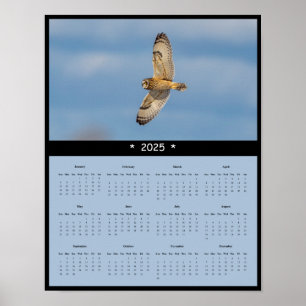 2025 Kurz-Eared Owl Wall Calendar Poster