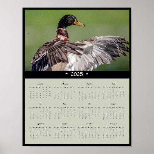 2025 Mallard Duck Wall Calendar Poster (Vorne)